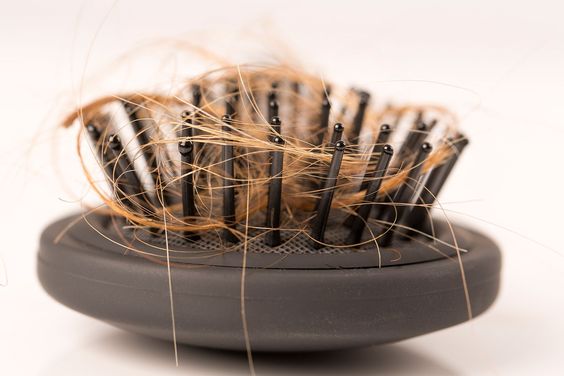 The Importance of Scalp Health in Hair Wellness